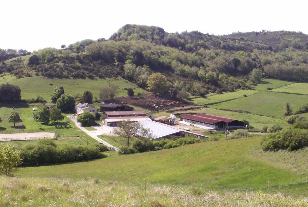 Chambre D'Hotes Domaine De La Trille Mirepoix (Ariege) Ngoại thất bức ảnh